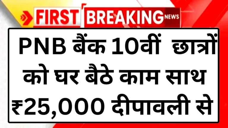 pnb-bank-work-from-home-schemes-2025