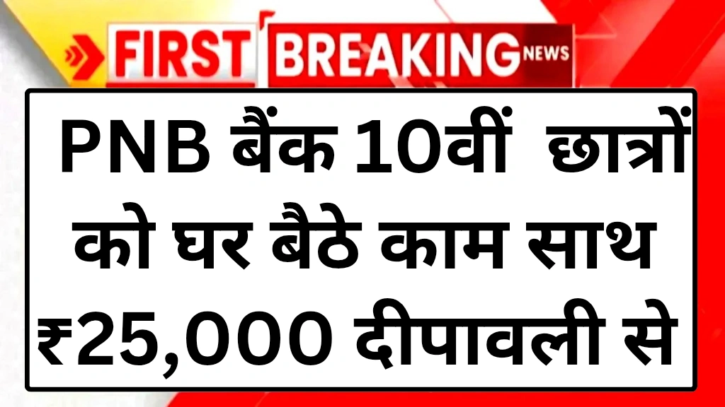 pnb-bank-work-from-home-schemes-2025